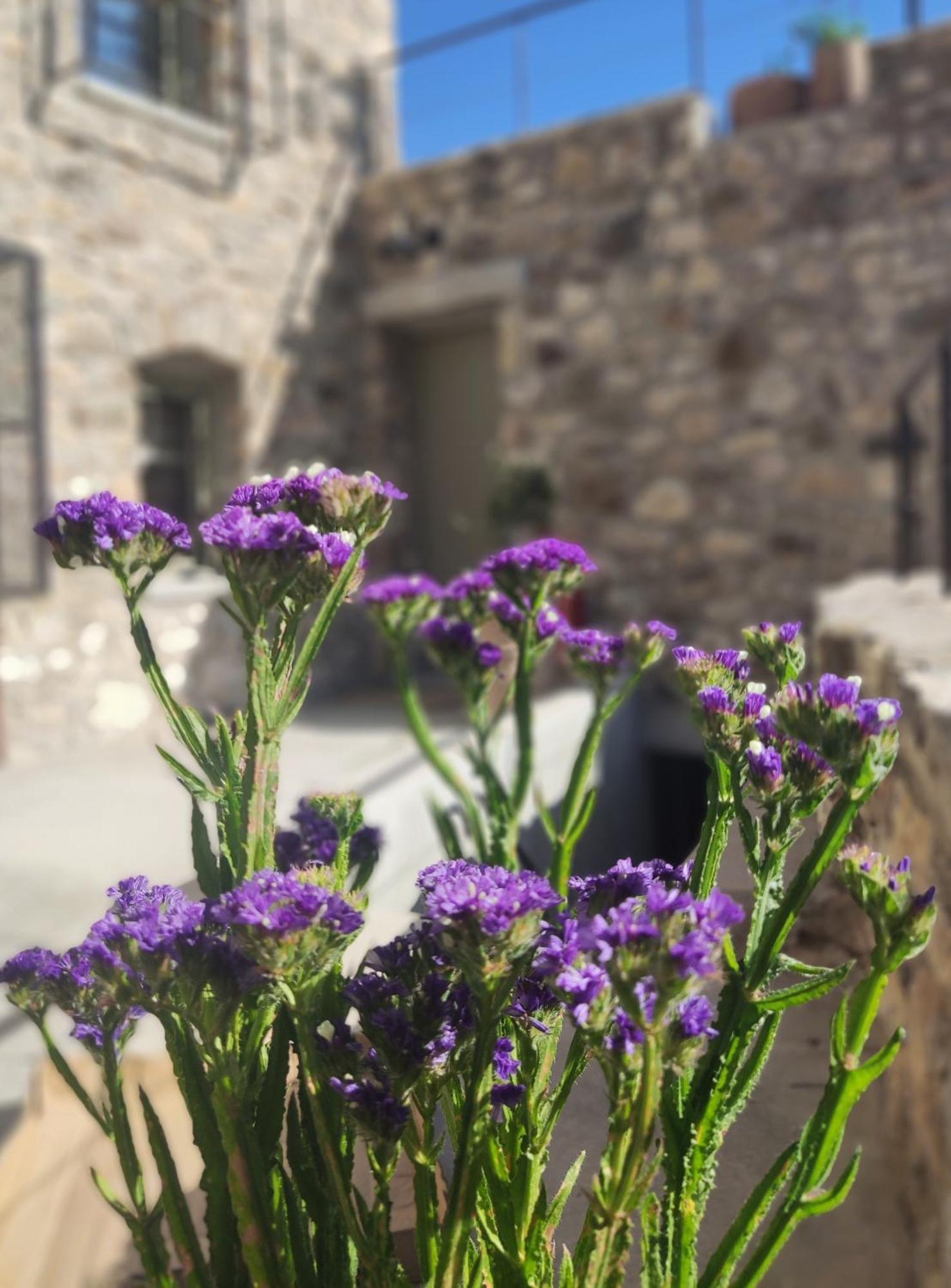 Pirgos  Pyrgi Cretan Living & Spa المظهر الخارجي الصورة